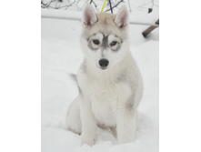 ����� ���.jpg