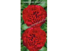 ���� ���������� ����� �����.jpg