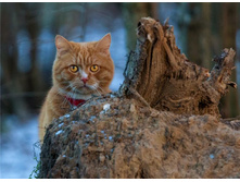 � �ӣ ����!