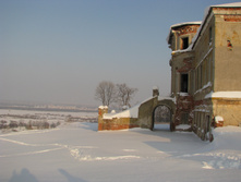 IMG 5962.jpg