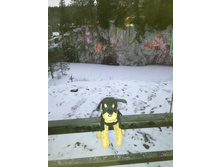 ��������� ������