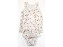 �������� ����������� 4393