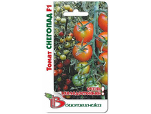 ����� �������� F1. 15 ��. 16 ���.jpg