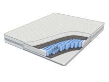 ������ ����