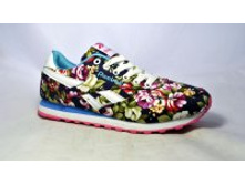 Phoca thumb m 5482 1.jpg