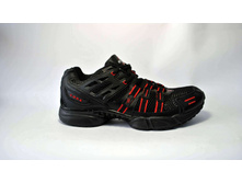 Phoca thumb l 1738.jpg