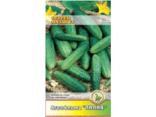 ������ �����  F1 ����������� ������������������ 	8	15,00 ���.