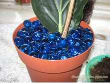 ��������� 1.jpg