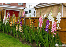 ���������� � ����9.jpg