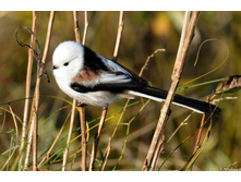 ������������� ������.jpg