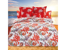 271842 ��� ���� ������ �������� ������� 1682.jpeg