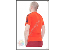 �������� Sport...png