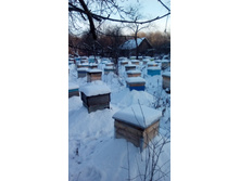 IMG 20160105 144513.jpg