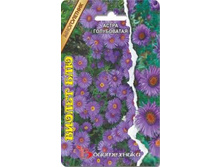 ����� ����������� ������ ���. 30 ��. 20 ���.jpg