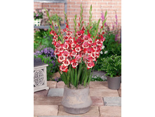 ���������� � ���� ����� ���������� ���