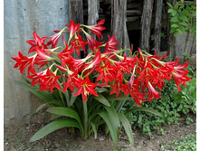 ��������� � ����.jpg