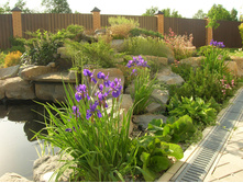 ����� � ����8.jpg