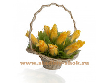 ������ ������ ��� � ��������, ���. ��-04