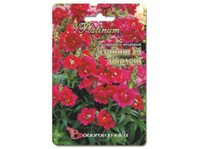 ���������� �������� F1 ������ ������. 10 ��. 36 ���.jpg