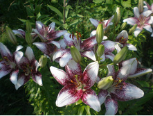 ����� ����� ��������� ���. ����.jpg