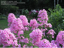 ����� ���� ������ ���. ����2.jpg