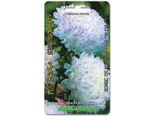 ����� ��������� c���� ������ ����� ����������. 70 ��. 9 ���.jpg