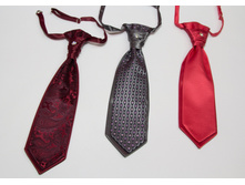 ������� ������� "���������"