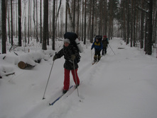 IMG 5875.jpg