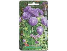 ����� ��������� ����� ������� �������. 70 ��. 10 ���.jpg