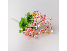 ������ ����� 23 ��, ���� �������, ���. 9129-6 63�.jpg