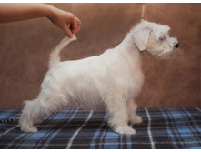 2 �����.jpg