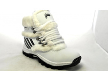 Phoca thumb l 5456 5.jpg