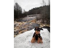 ��� �� ����� �����-2