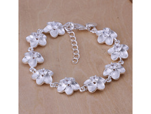 220� ������� XPL6096