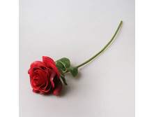 ���� 35 �� �������, 1801 53�.jpg