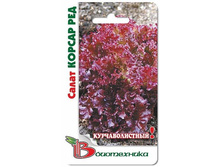 ����� ������ ���. 0,5 �. 10 ���.jpg