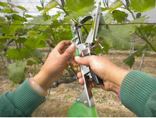 ����� ��� �������� �������� ���. ����2.jpg