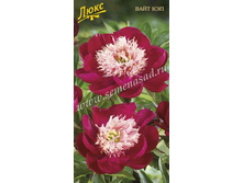 ���� ���� ���.jpg