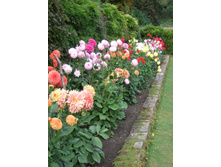 �������� � ����2.jpg