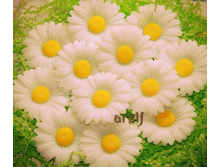 ������� (1 ��.)