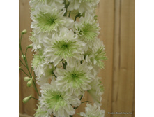 ���������� ������� ������� 226,8�.JPG