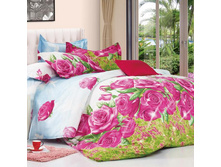 ���������� ����� ��� 1,5 ������ Domus ���. D� 56. ���� 756 ���