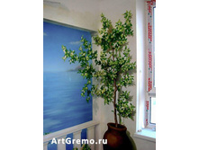 ������� ���� � ������ ���������