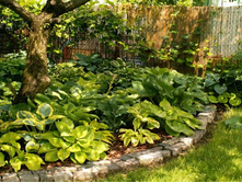 ����� � ����������2.jpg