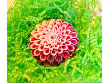 ������� - 140 ���.