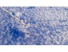 2016-01-16 04 cr.jpg