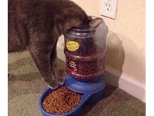 ���������� �������� ����� ...