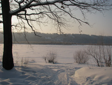 IMG 5912.jpg