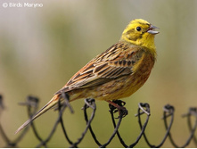 ������������ �������.jpg