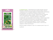 ��������� �������.png